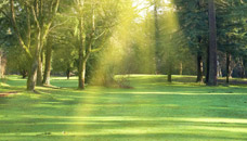 Yorgensen-Meloan-Londeen Funeral Home